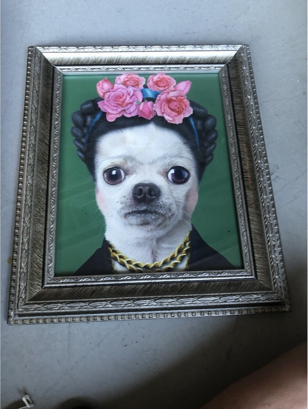 Chihuahua Frida Kahlo Portrait